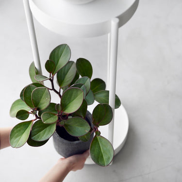 이동식 화분 2단 받침대 타워