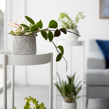 이동식 화분 2단 받침대 타워