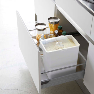 Rice Storage Container