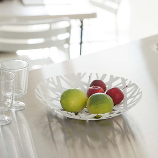 Tabletop Accessories