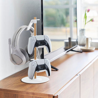 Gaming Accessory Organiser